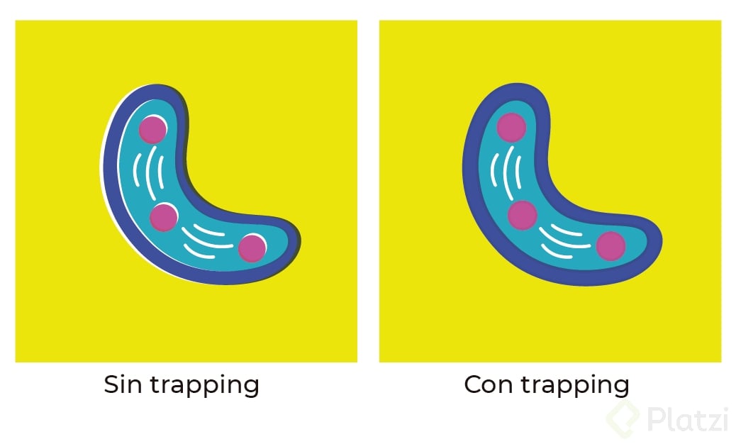 seri-trapping1.png