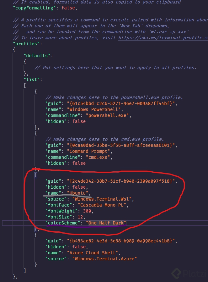settingsjson.png