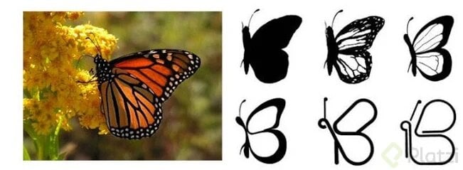 Síntesis gráfica con una mariposa
