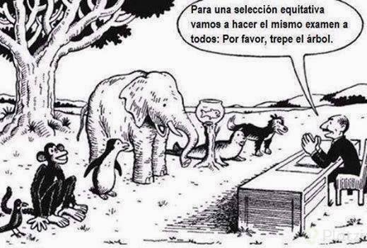 sistema-de-educacic3b3n_0cd9862e-969a-4eac-adc3-bcb39b2c2eec.jpg