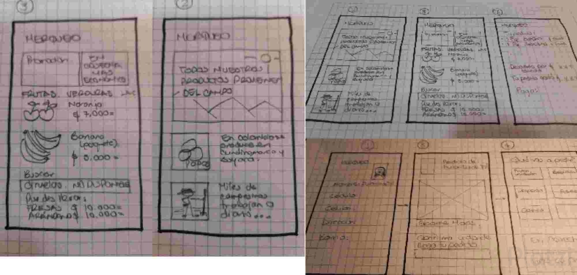 sketch.jpg