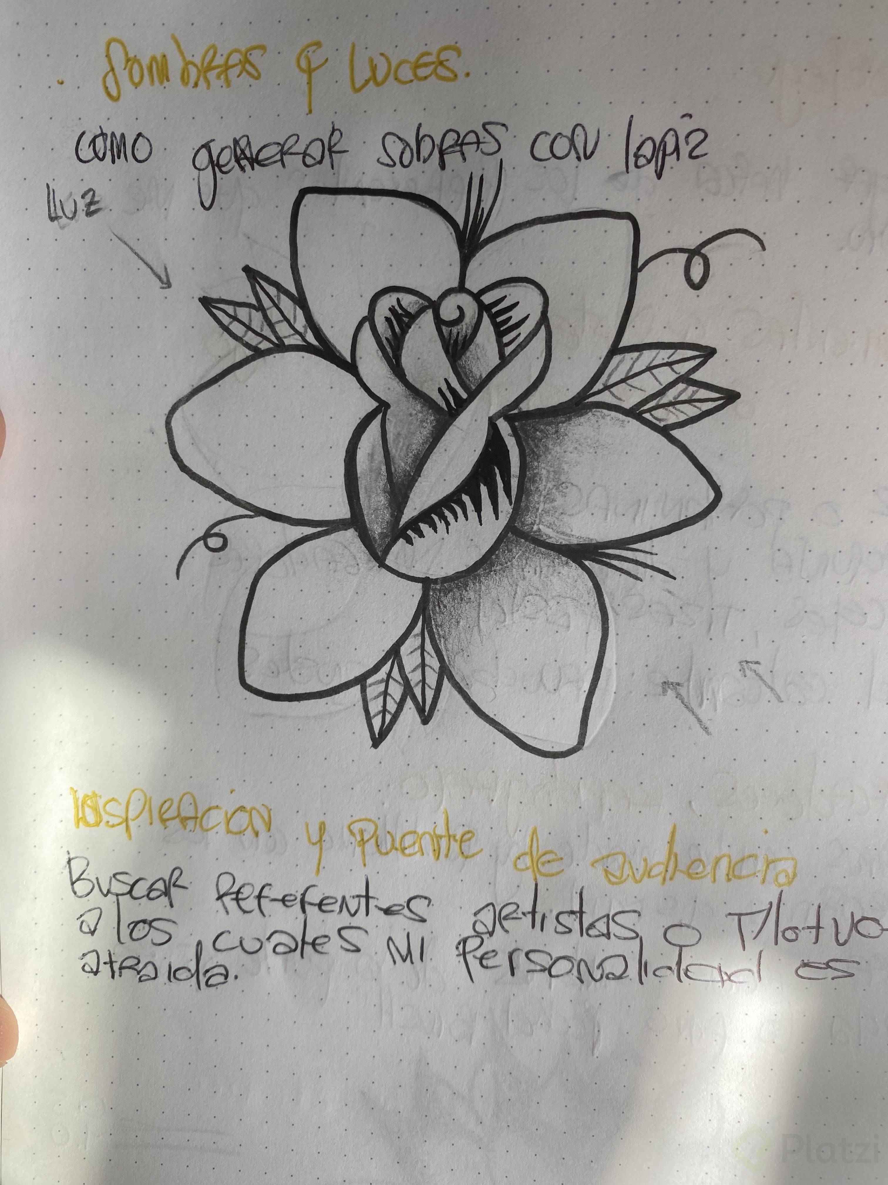 sombras y luz .jpg