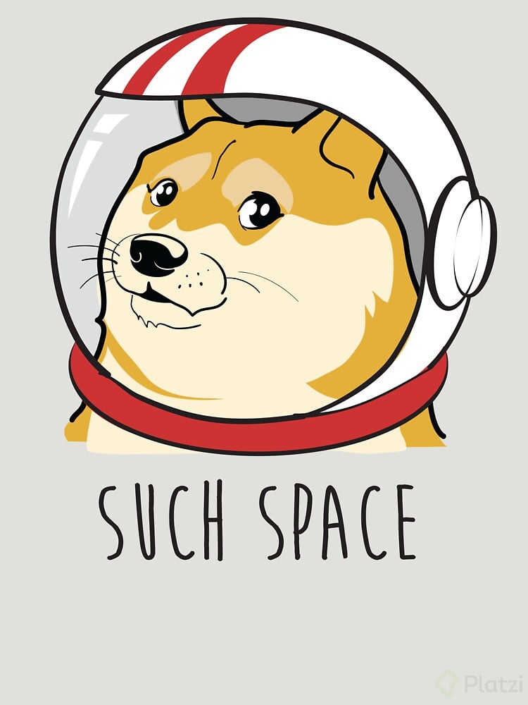 space doge.jpg