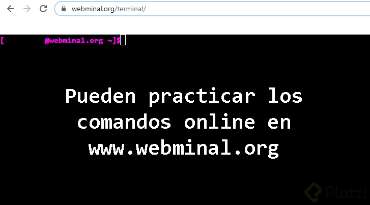 terminal online.png