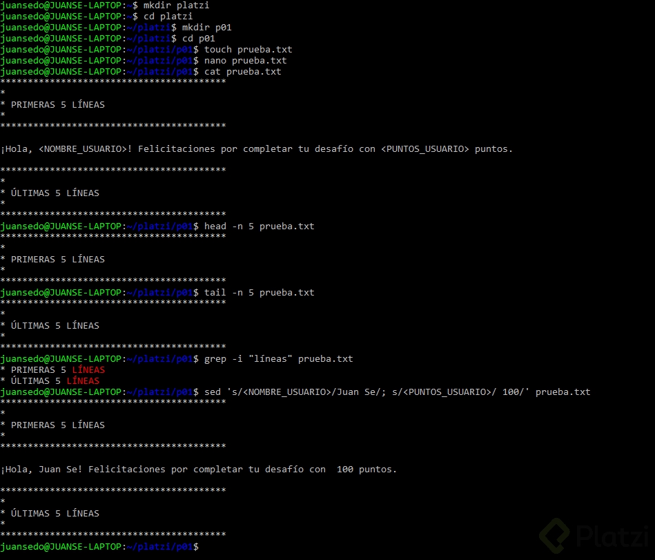 terminal.png