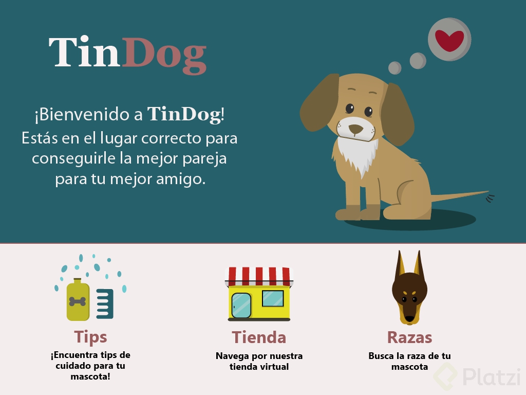 tindog pantalla principalweb-01.png