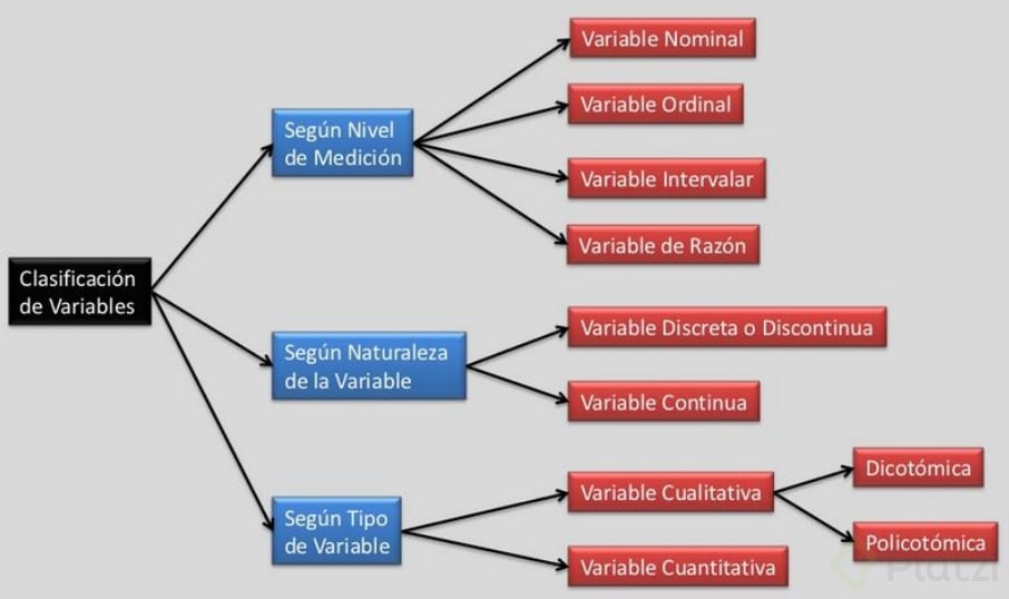 Tema 3 Tipos De Variables Segun Su Funcion En El Diseno De La Images ...