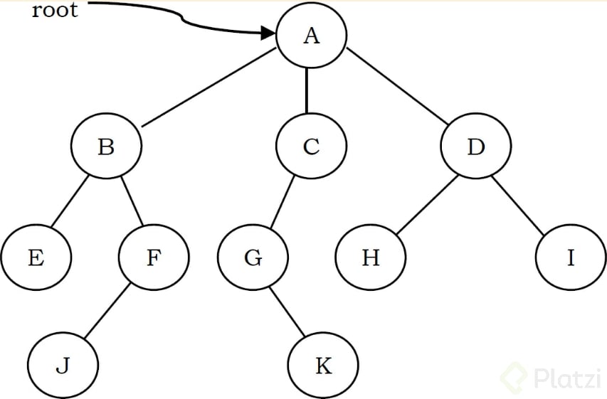 tree.PNG