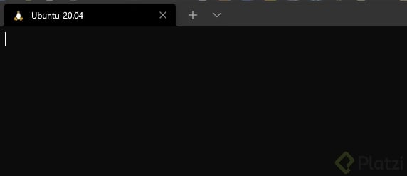 ubuntu no deja escribir-b0bc2ab5-1b99-4a93-b8e5-9bbf7083b2f1.jpg