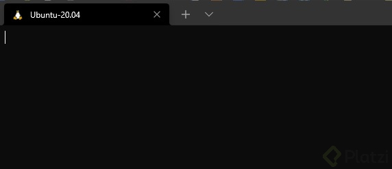 ubuntu no deja escribir.jpg
