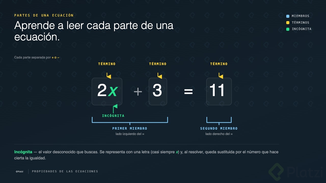 partes-de-una-ecuacion.jpg