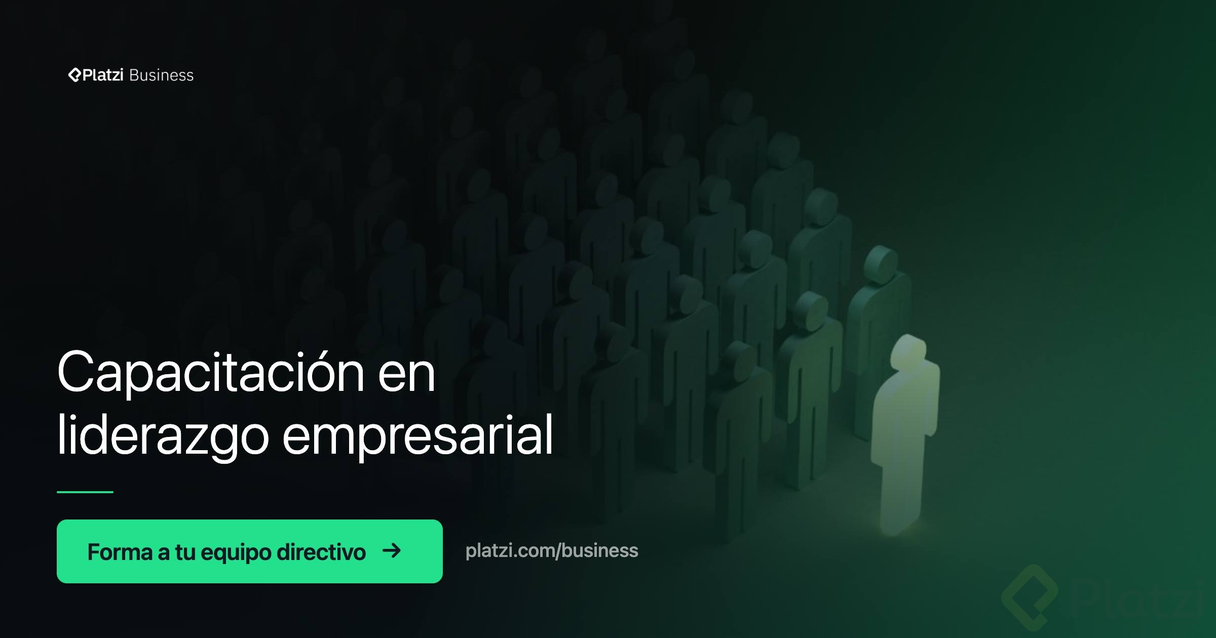 Liderazgo para empresas.jpg