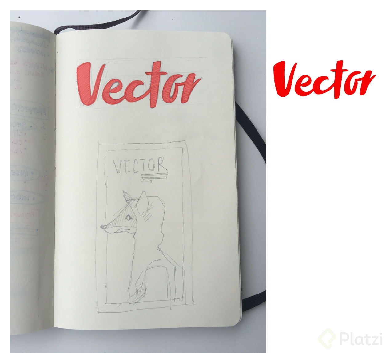vector-3.jpg