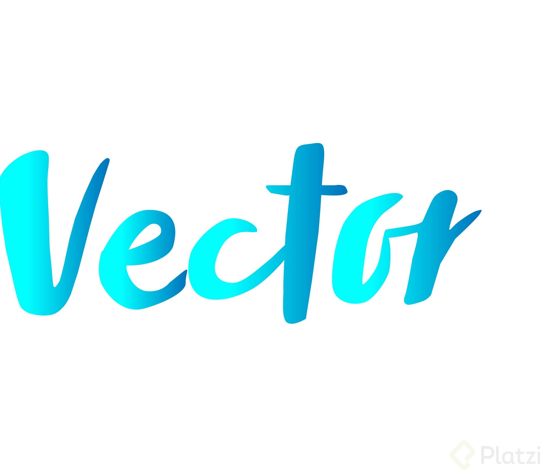 vector11.jpg