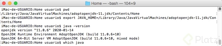 verificar directorio de los binarios del java a usar y esportar variable JAVA_HOME.png