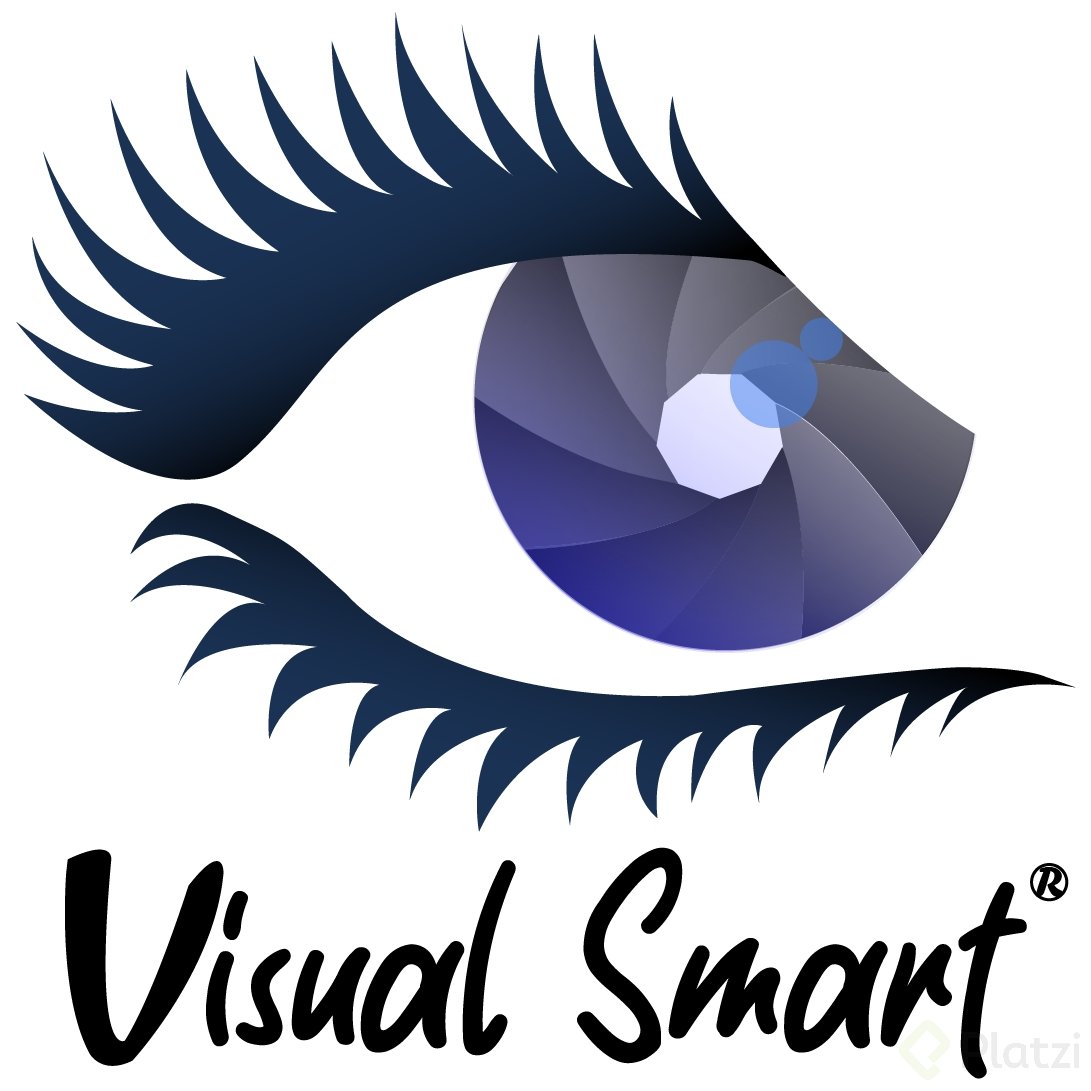 visual smart-05.png