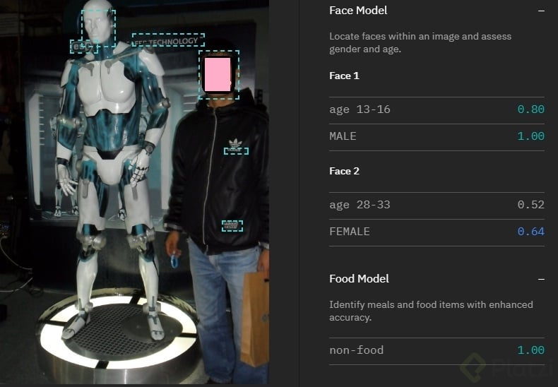 watson primer visual recognition - copia.jpg