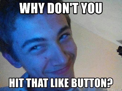 why-dont-you-hit-that-like-button2.jpg