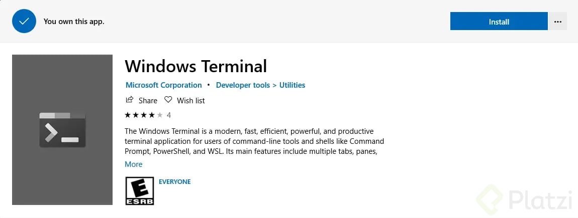 Windows Store Terminal