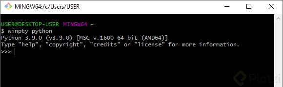 winpty git-Bash.png