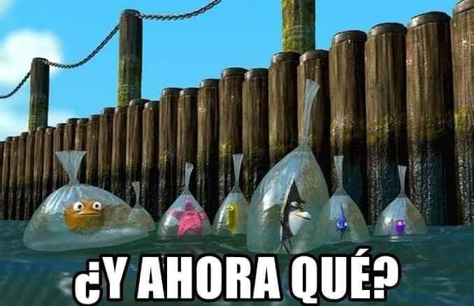 y ahora qué.jpg