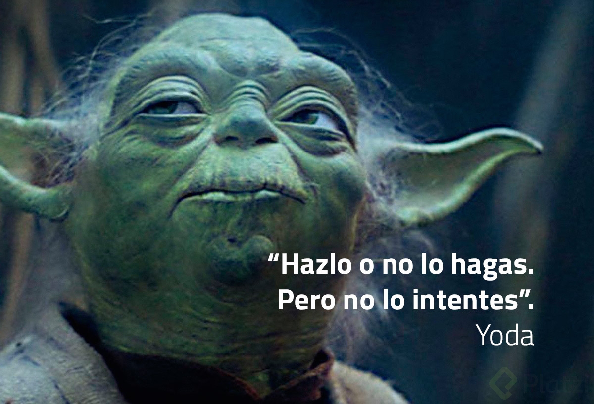 yoda.jpg