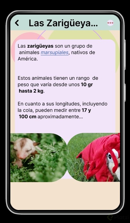 zarigueya carrusel.jpg