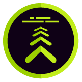Insignia