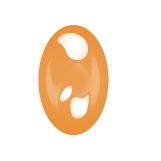 Insignia